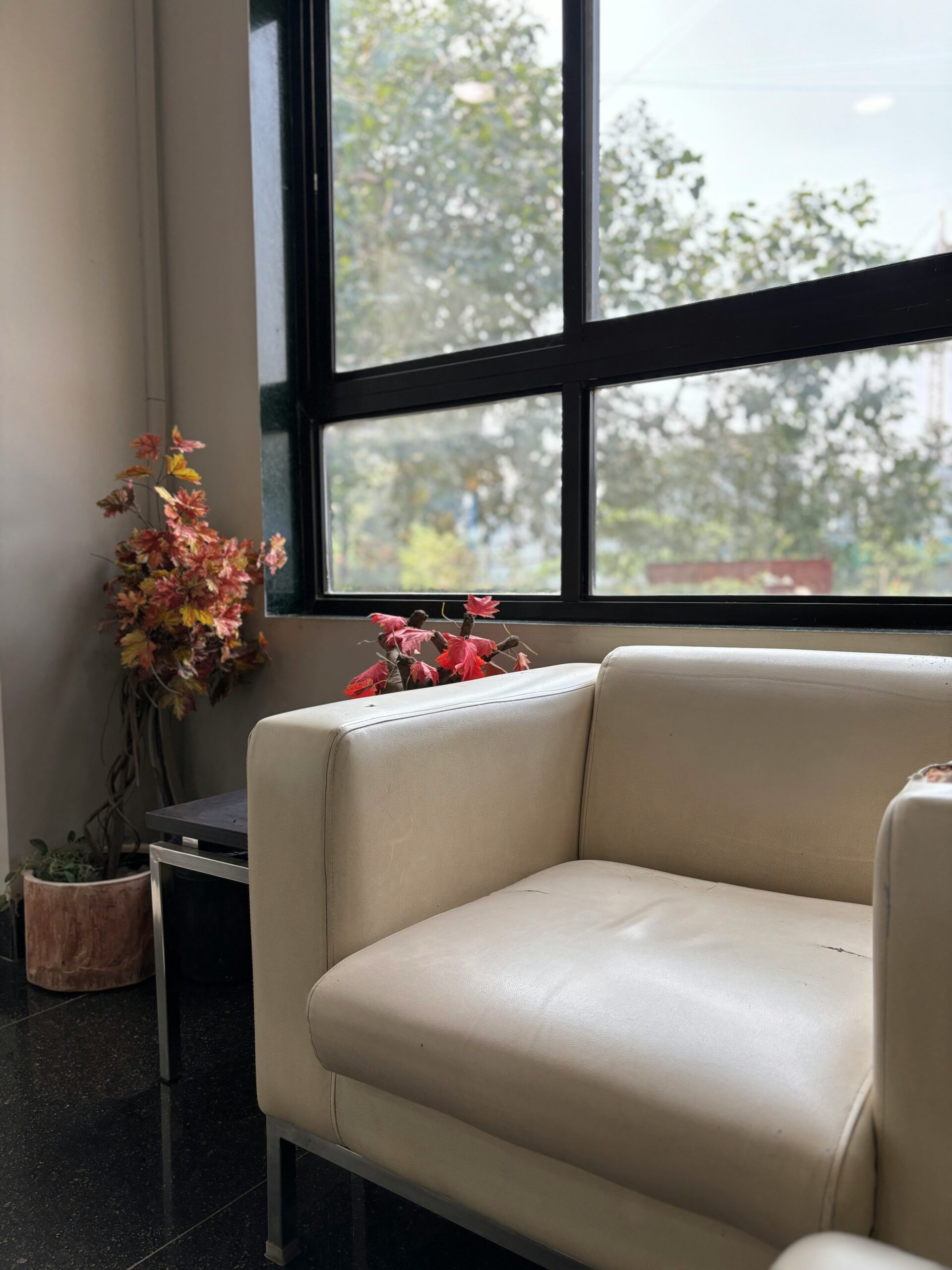Comfortable therapy office chair with natural light and plants, creating a welcoming environment for healing
